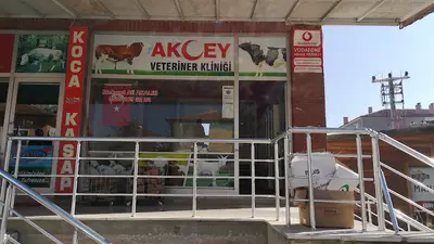 Ck Petshop