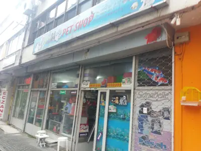 Patiyum Pet Food
