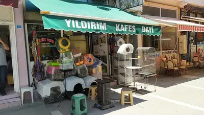 Deniz Kızı Petshop