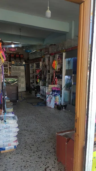 SAMANDIRA PETSHOP foto 2
