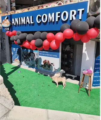 Animal Comfort - Şişli Pet Kuaför & Otel"