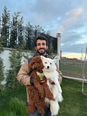 Samsun Köpek Eğitimi