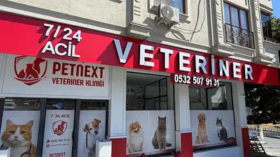 BAYRAMPAŞA PETNEXT VETERİNER KLİNİĞİ- 7/24 Acil Veteriner Kedi Köpek