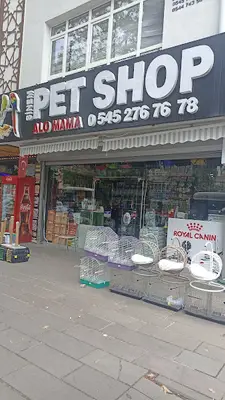 Sinem Petshop Akvaryum