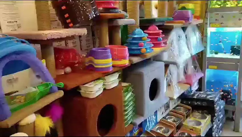 Togo Pet Shop foto 2