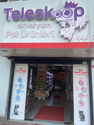 Teleskop Akvaryum ve Pet Ürünleri | Beşiktaş