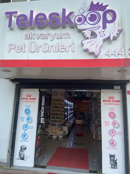 Teleskop Akvaryum ve Pet Ürünleri | Beşiktaş foto 1