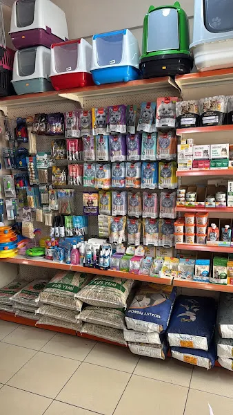 Boncuk Petshop foto 2
