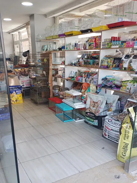 Hachikopetshop foto 2