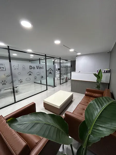 Da Vinci ÜSKÜDAR Veteriner Kliniği foto 2