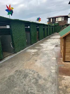 Bilgehan Tufanoğlu Köpek Evi