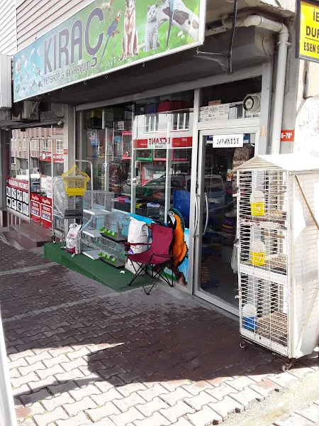 Kıraç Petshop Akvaryum BALIK AV MALZEMELERİ foto 2