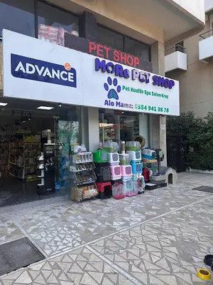 More Pet Shop & Kuaför (İstinye Park AVM karşısı )