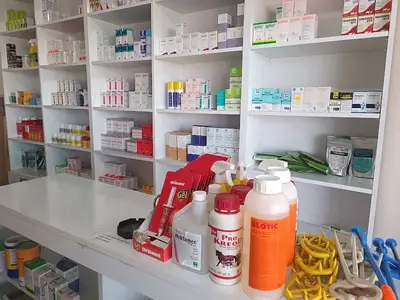 GÖÇMEZ VETERİNER KLİNİĞİ