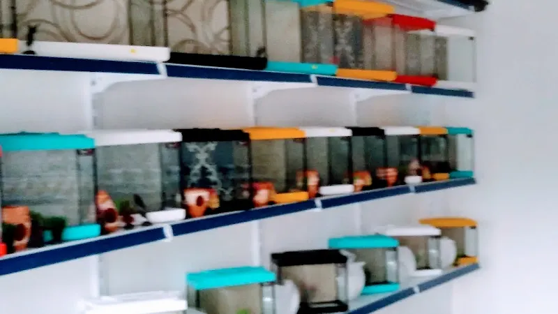 Leventpetshop aligör foto 2