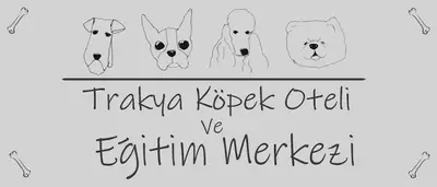 Dogs Master Pet Hotel