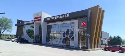 ETİMESGUT BELEDİYESİ SOKAK HAYVANLARI KLİNİĞİ