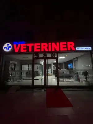 Milano Büyükçekmece Veteriner Kliniği - 7/24 Acil Beylikdüzü Veteriner-Beykent Veteriner