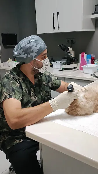 DEMAR Veteriner Kliniği foto 2