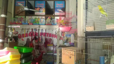 Yüreğir Petshop HARİS TUFAN
