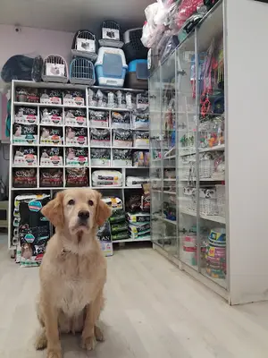 Doğan Veteriner Kliniği