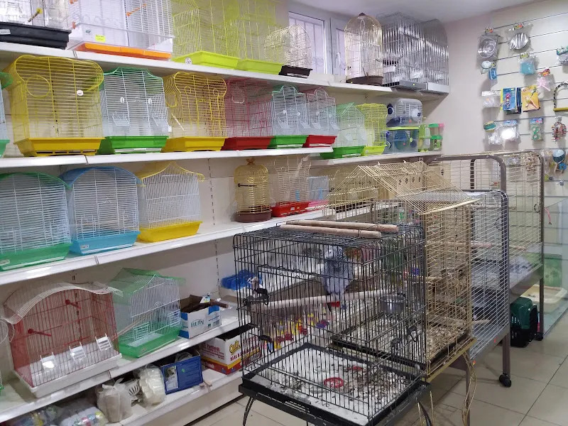 PET JOY İSTANBUL VETERİNER HİZMETLERİ &PET SHOP &PET KUAFÖR MAKAS TRASI foto 2