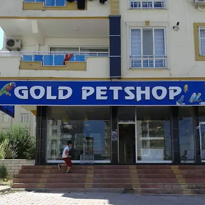 Gold petshop