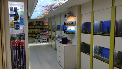 Safari Pet Shop
