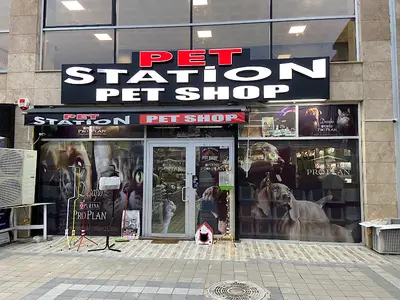 PET STATİON PET SHOP KEDİ KÖPEK MAMASI ERYAMAN,ALO MAMA