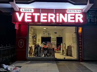 LİDER Veteriner Muayenehanesi