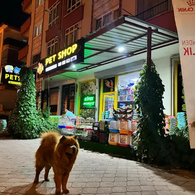 Tospik Petshop Sincan