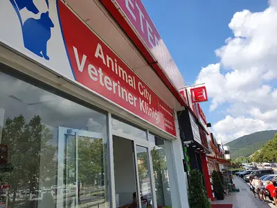 Pendik Animal City Veteriner Kliniği