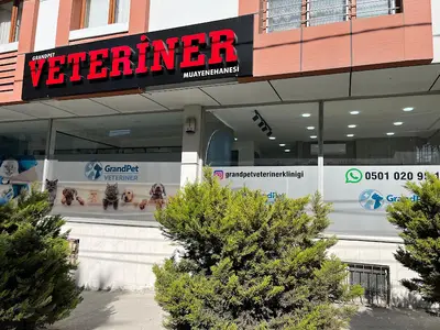 Grandpet Veteriner Kliniği Haramidere 7/24 Acil Veteriner