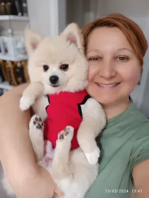 BAKIRKÖY KAYRA PET KUAFÖR PET SHOP
