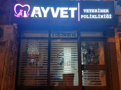 AYVET Veteriner Kliniği