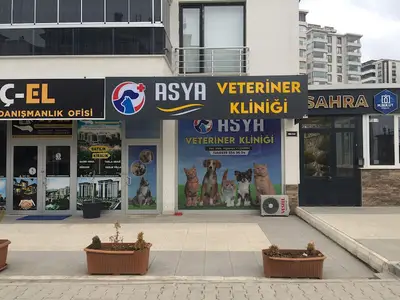 Elazığ Asya Veteriner Kliniği