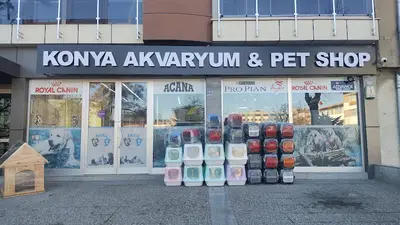 Pozitif Petshop Anıt Şube