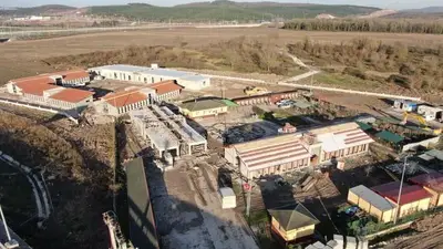 Sakarya büyükşehir belediyesi sokak hayvanları bakımevi ve rehabilitasyon merkezi (barınak))