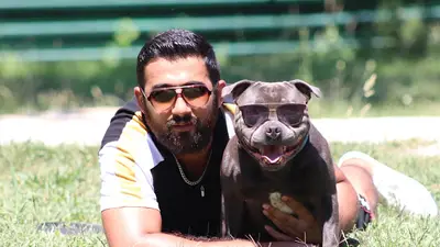 Staffturk Köpek Akademisi