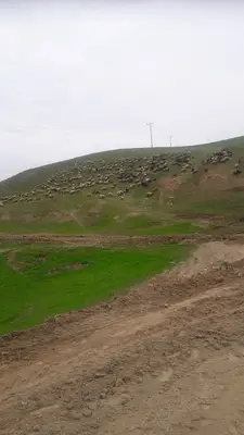 Batman Belediyesi Çocuk Parkı