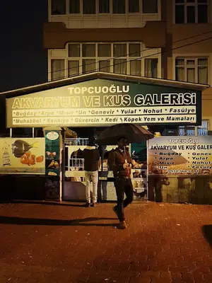 Topçuoğlu Akvaryum Ve Kuş Galerisi