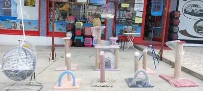 Can Dostum Pet Shop