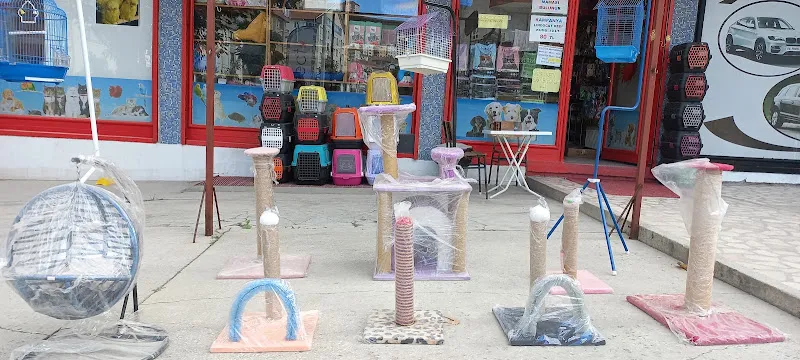 Can Dostum Pet Shop foto 1