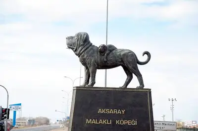 Aksaray Malaklısı Heykeli