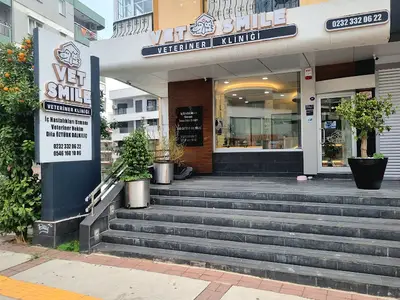 Vetsmile Veteriner Kliniği