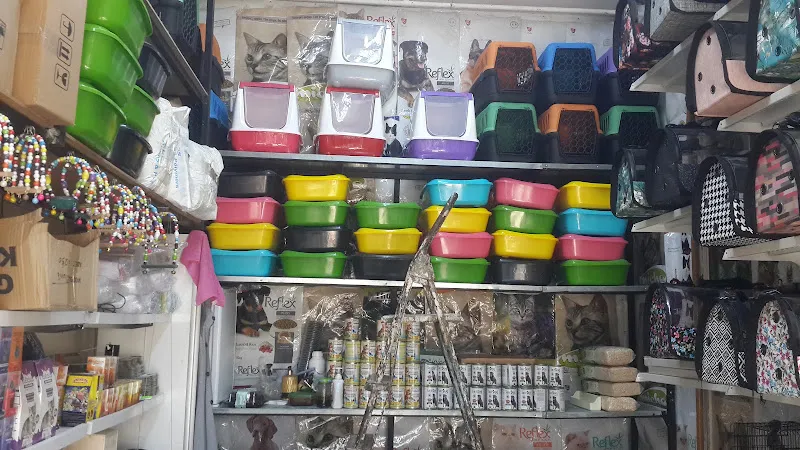 Mösyö Petshop foto 2
