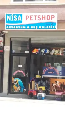 Beyza Petshop Akvaryum & Kuş Galerisi