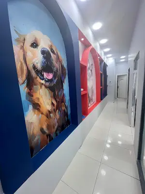 Tomris Veteriner Kliniği Atakent-Halkalı-Küçükçekmece