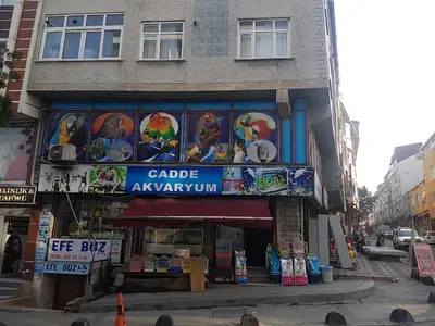 Cadde Akvaryum