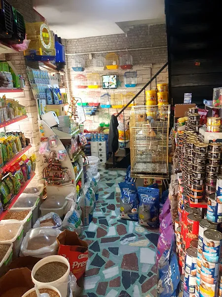 Cadde Akvaryum foto 2